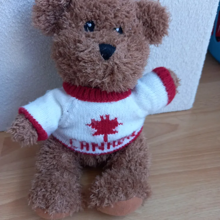 Collectible Canadian Brown Teddy Bear thumbnail