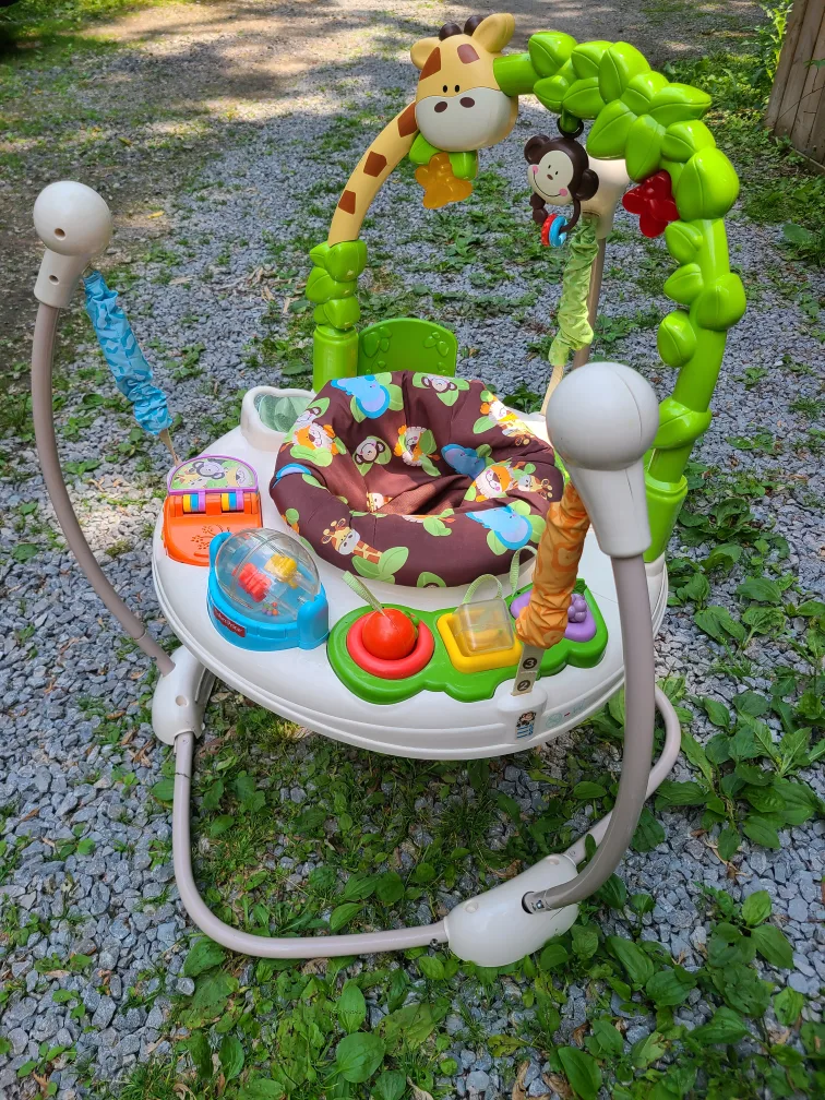 Fisher-Price Animal Activity Jumperoo 🇨🇦 thumbnail