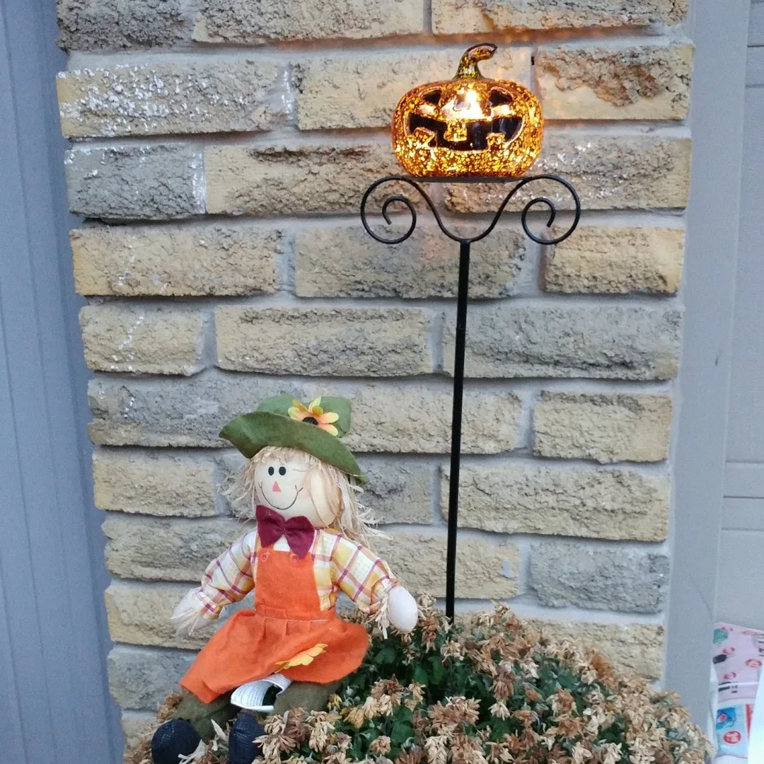 Pumpkin Halloween Decor thumbnail
