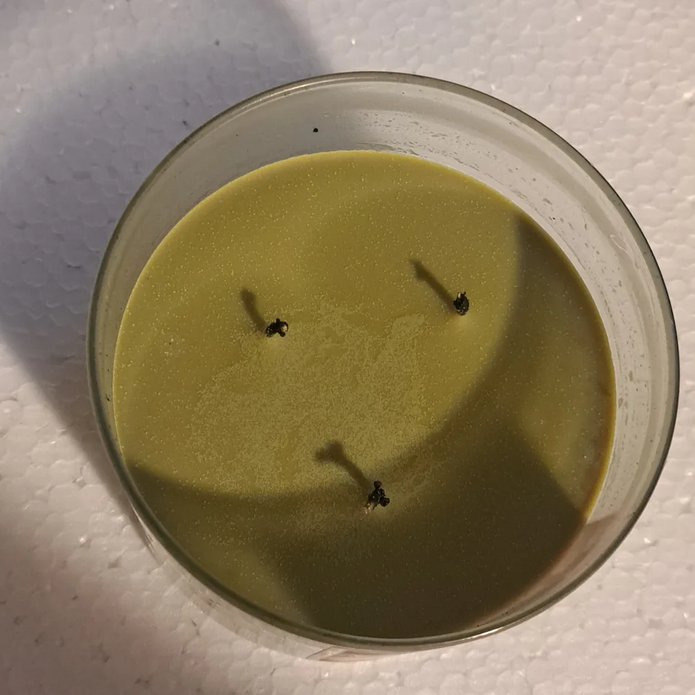 Bath and Body Works "Fresh Picked Heirloom Pear" 3-wick candle image indicator(4)