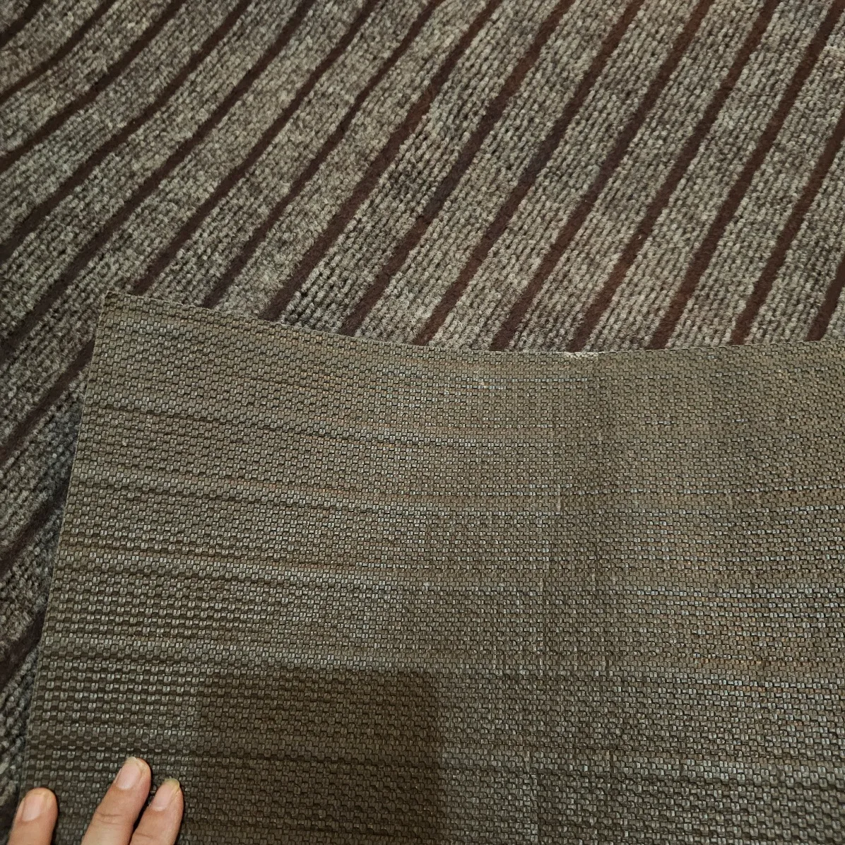 🇨🇦 Brown Striped Runner image indicator(2)