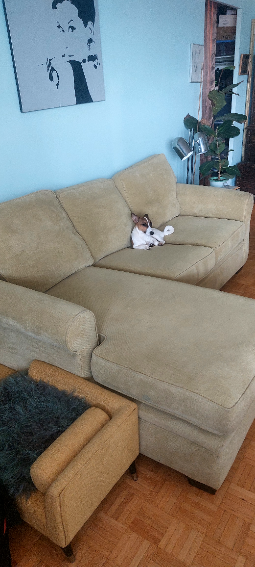 FREE Sofa