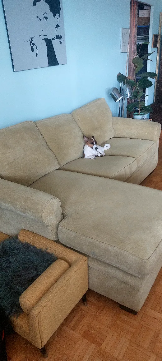 Sectional Sofa thumbnail