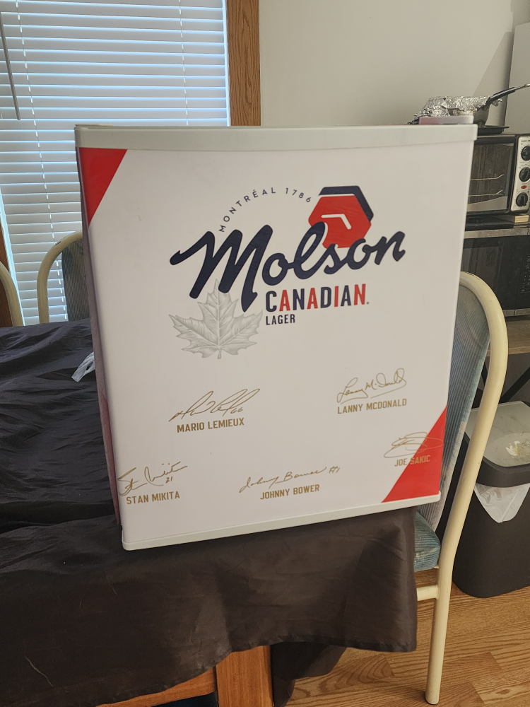 Mini Fridge