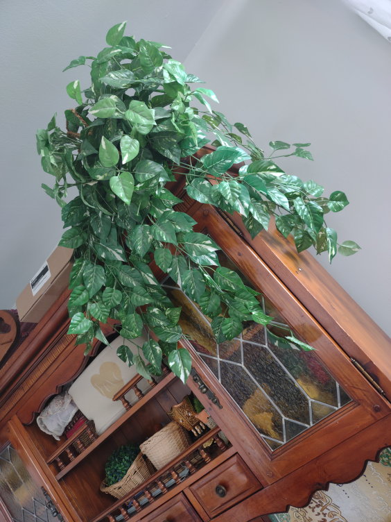 Hanging Artificial Pothos Plant ☘️ 🌴 tree - photo 5