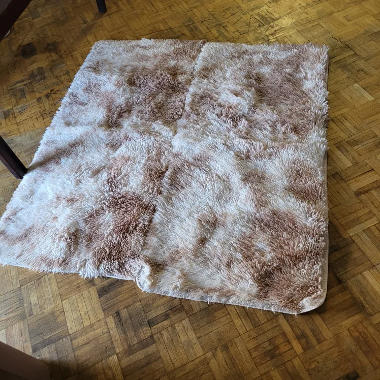 Shaggy Area Rug - Beige/Brown