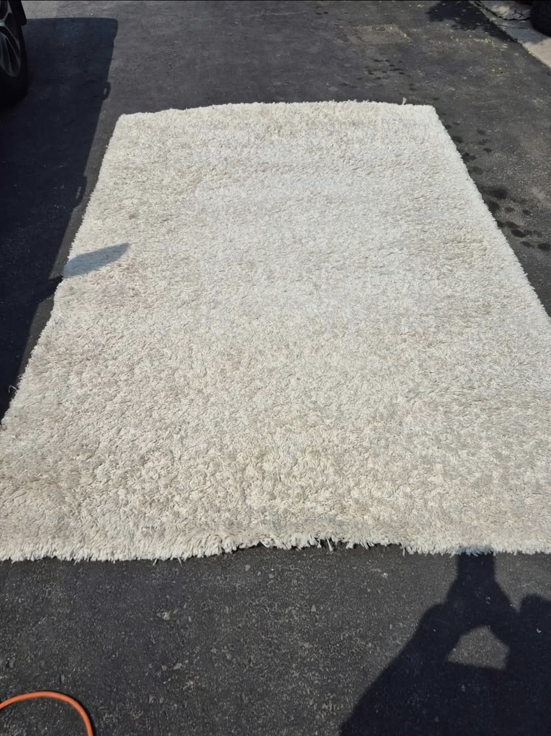 Beige Shag Rug - 5.33 ft x 7.58 ft ,40.4 sq ft - photo 2