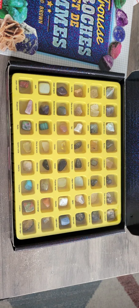 Scholastic Trousse de Roches et de Gemmes Kit image indicator(4)