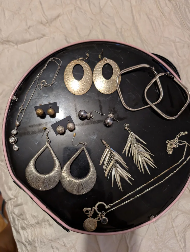 Assorted Earrings & Necklaces thumbnail