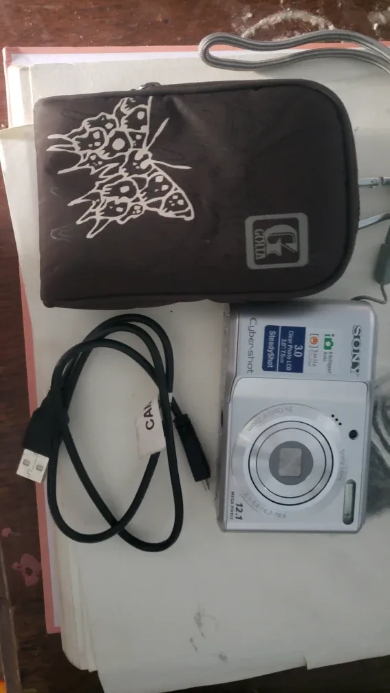 Sony Cybershot Digital Camera image indicator(2)