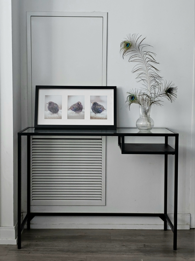 Framed Triple European Starling - Angry Bird Set - photo 2