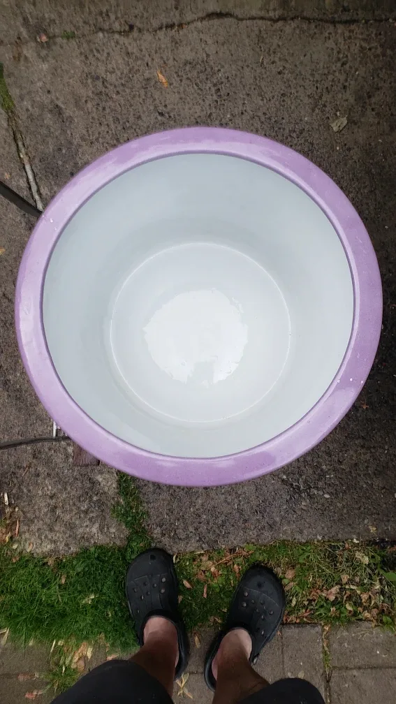 UPDATED: Fabienne Jouvin Paris Dragonfly Planter image indicator(6)