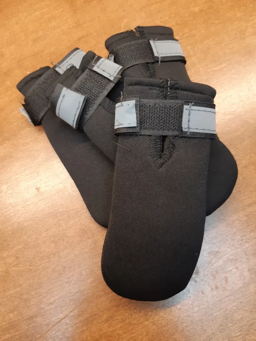 Dog Boots - Size Small image indicator(4)