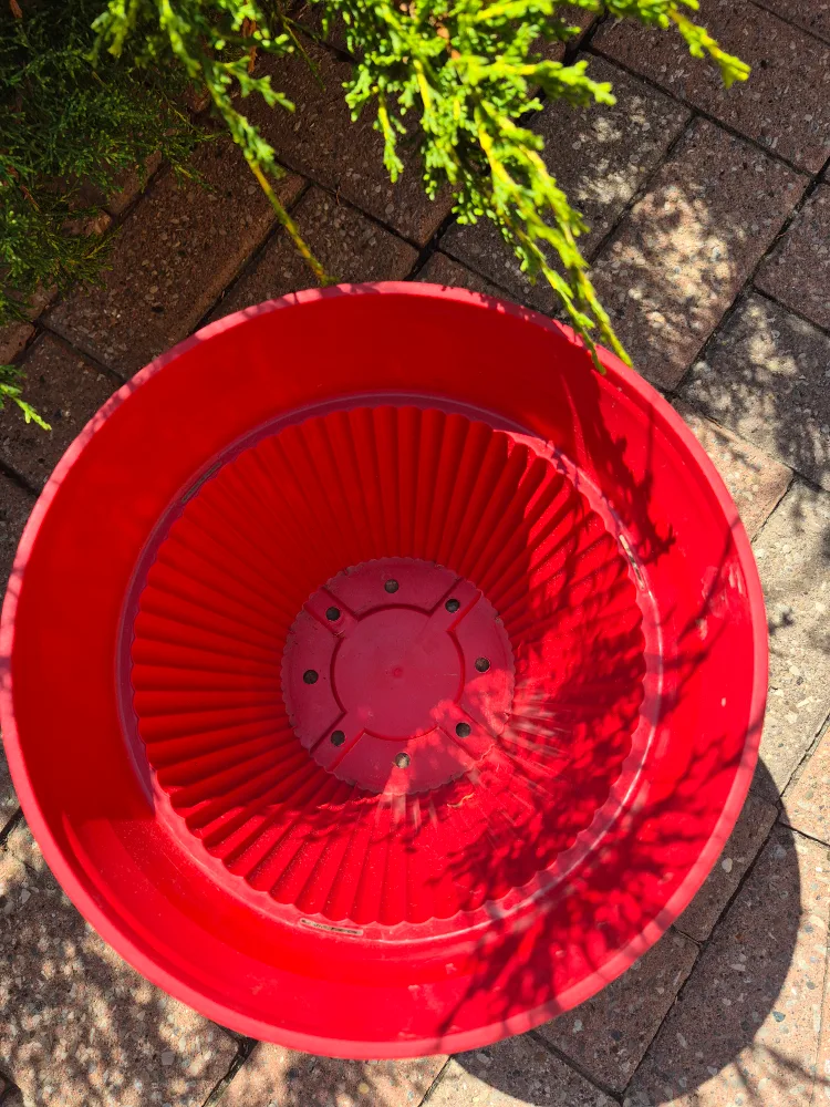 Red Plastic Flower Pot thumbnail