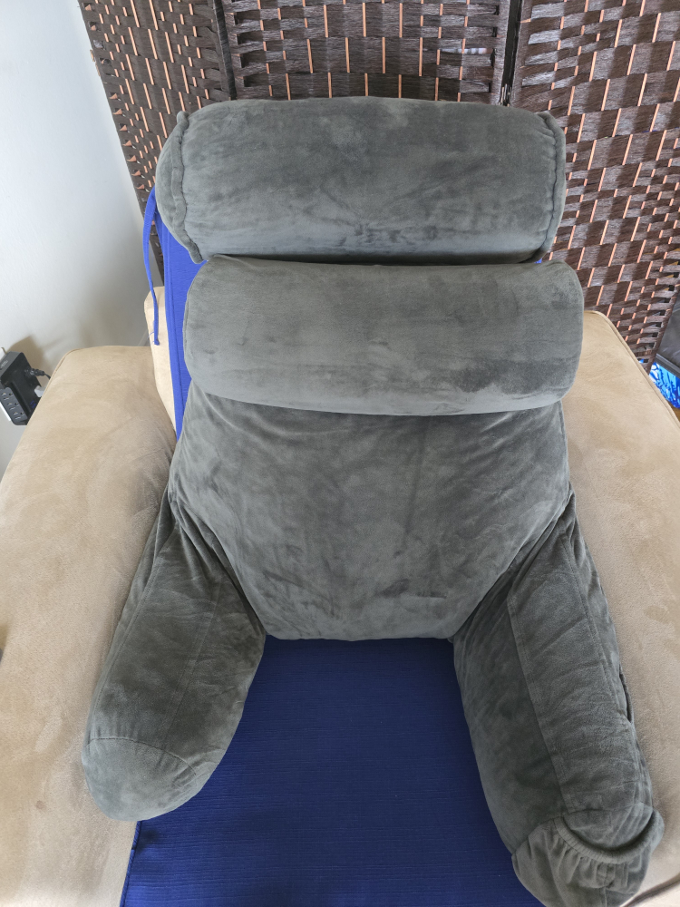 Lounger Pillow with Back Support