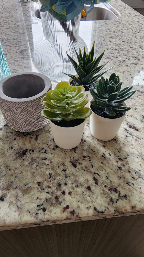 *Moving Sale* 3 Vases, Set of 3 Succulents and Flowers - photo 3