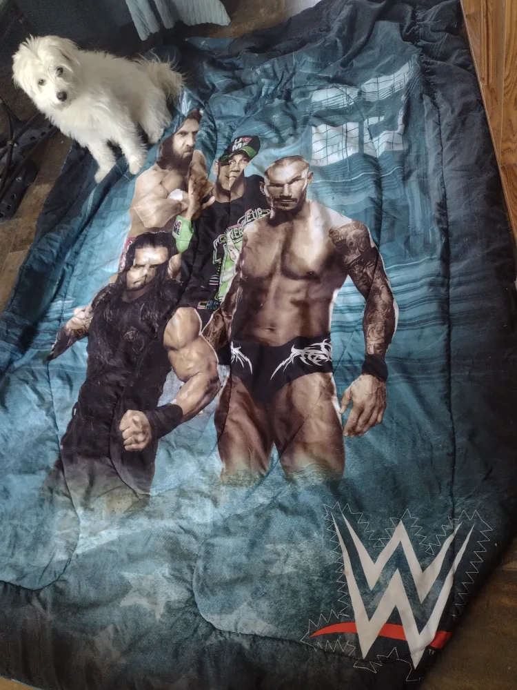 WWE Comforter thumbnail