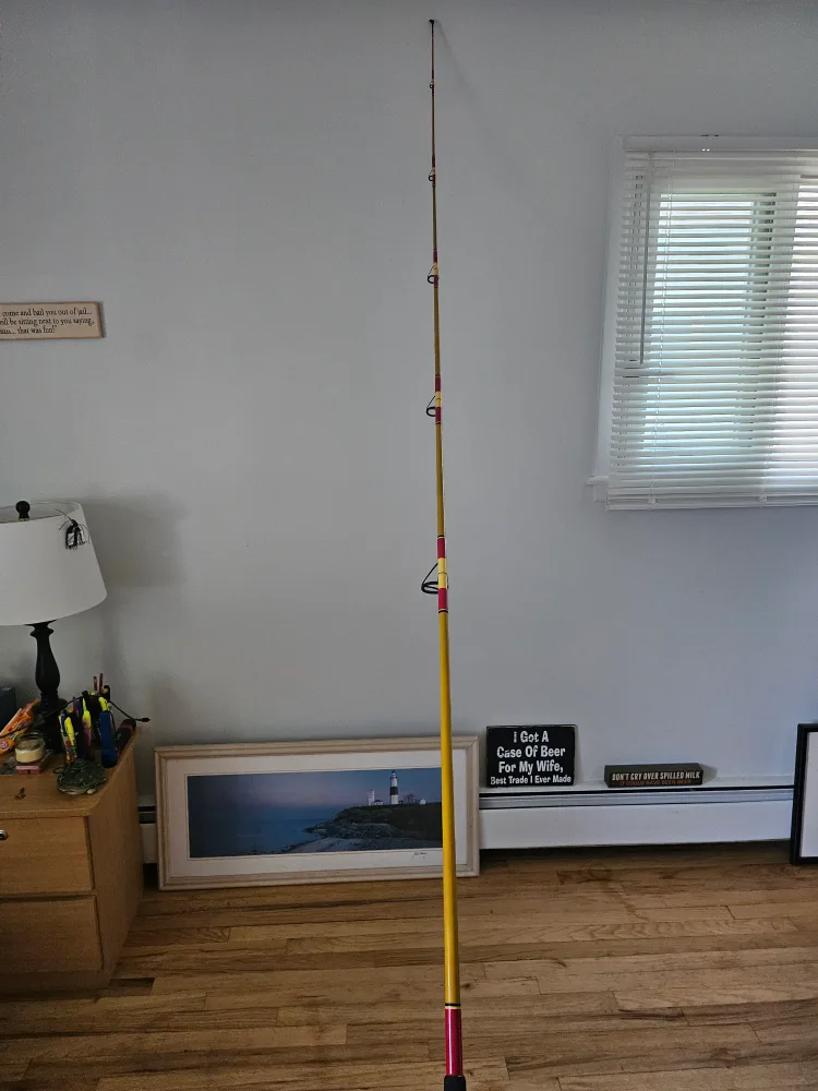 10 1/2 FT SURF ROD image indicator(7)