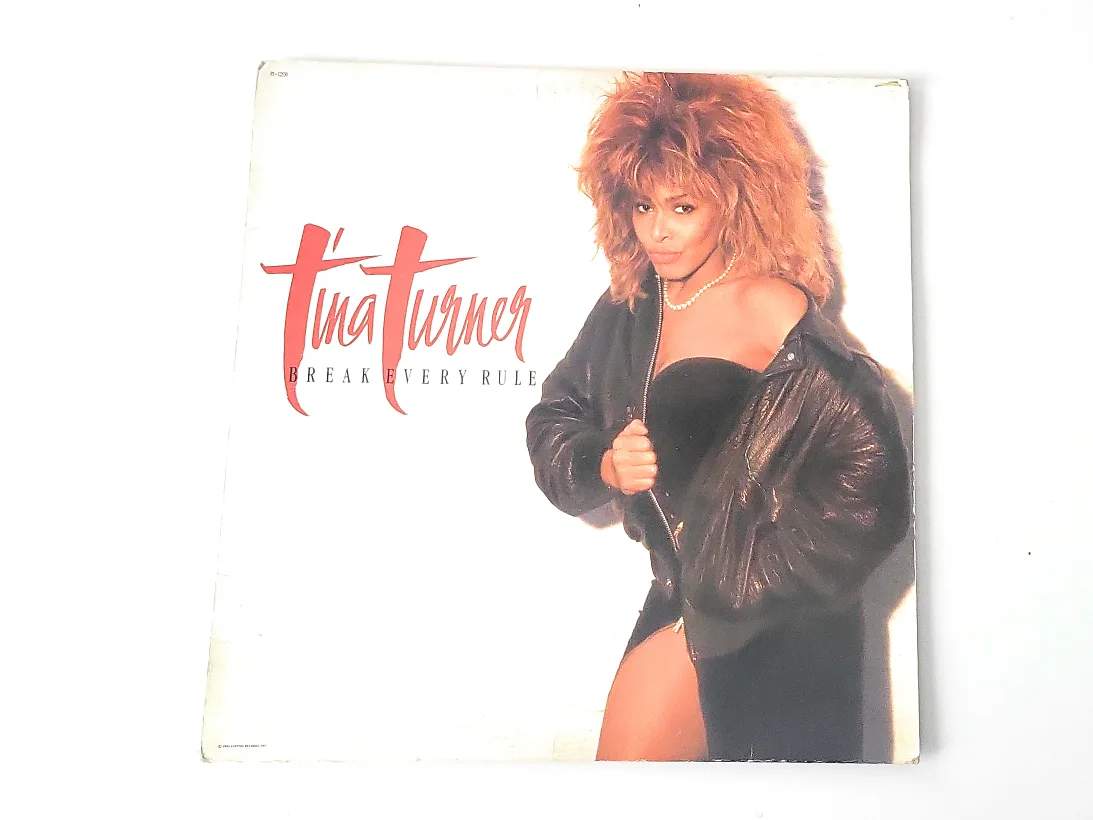 Tina Turner - Break Every Rule Vinyl Record image indicator(2)