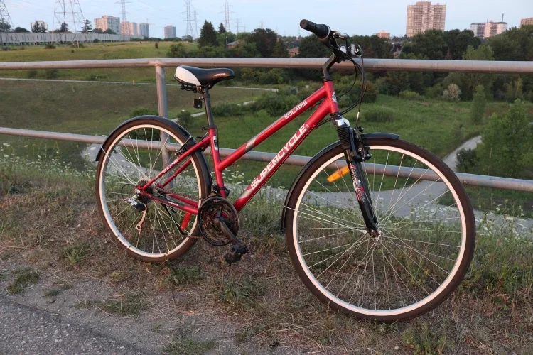 Adult hybrid commuter bicycle image indicator(2)