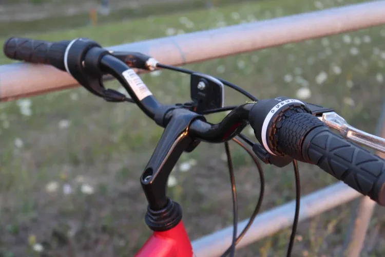 Adult hybrid commuter bicycle image indicator(3)