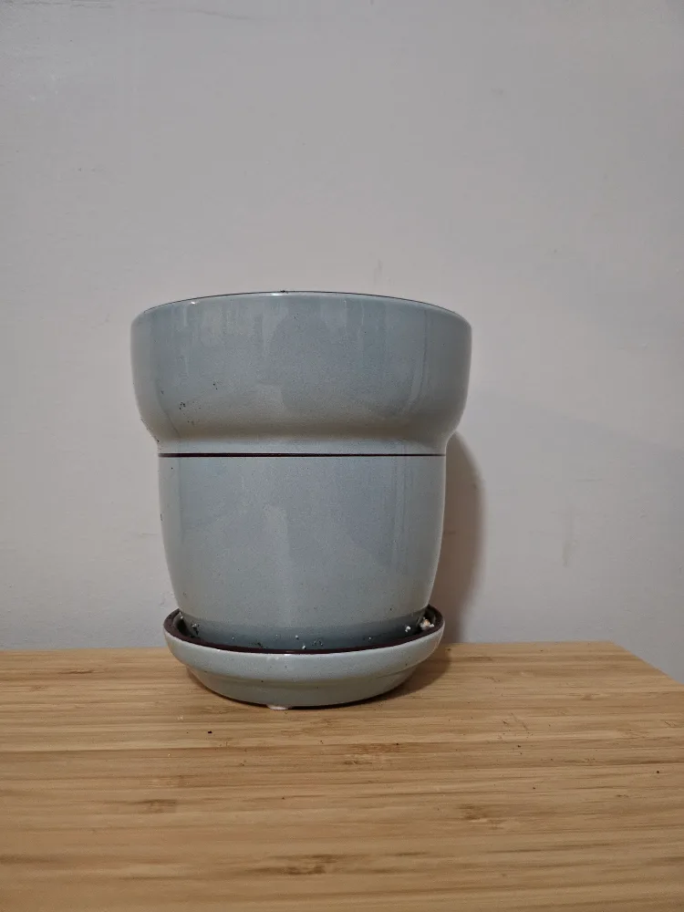 Light Blue Ceramic Planter thumbnail