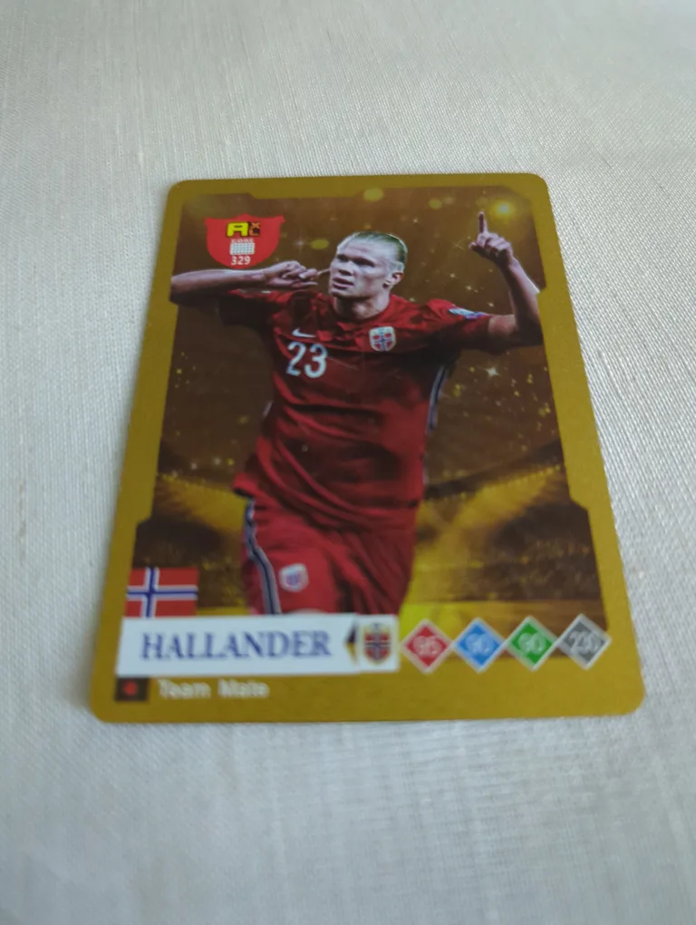 Hallander Team Mate Trading Card thumbnail