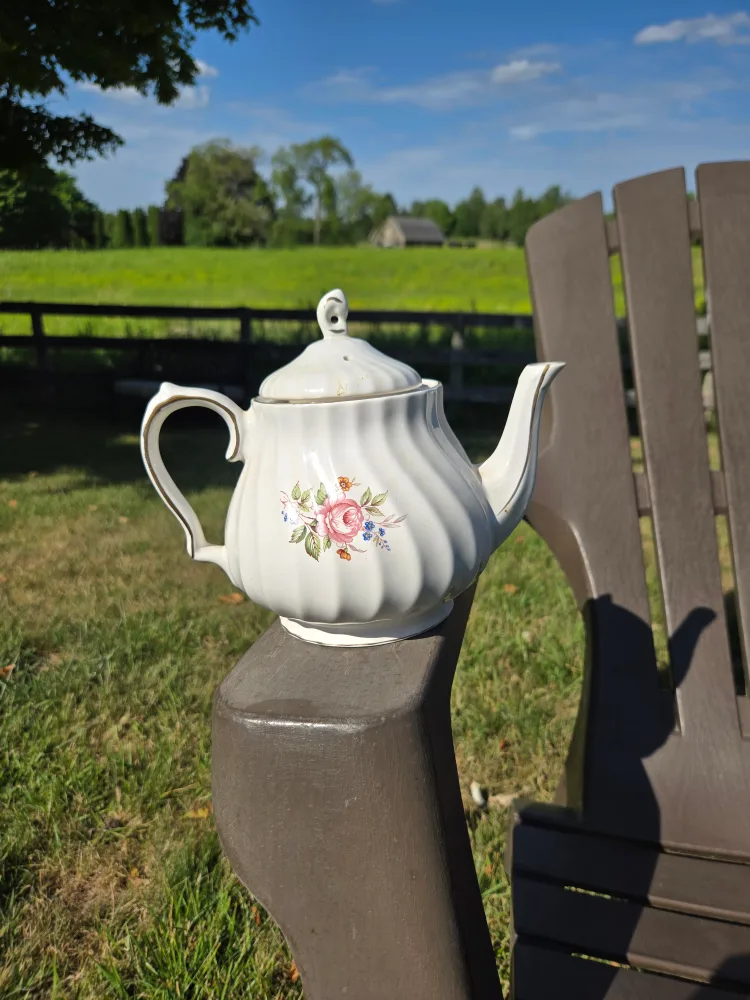 Sadler Windsor Fine Porcelain Teapot image indicator(2)