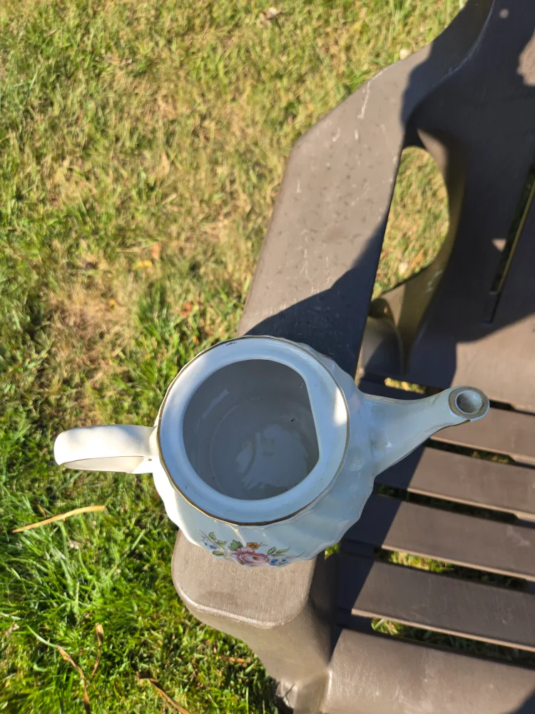 Sadler Windsor Fine Porcelain Teapot image indicator(3)