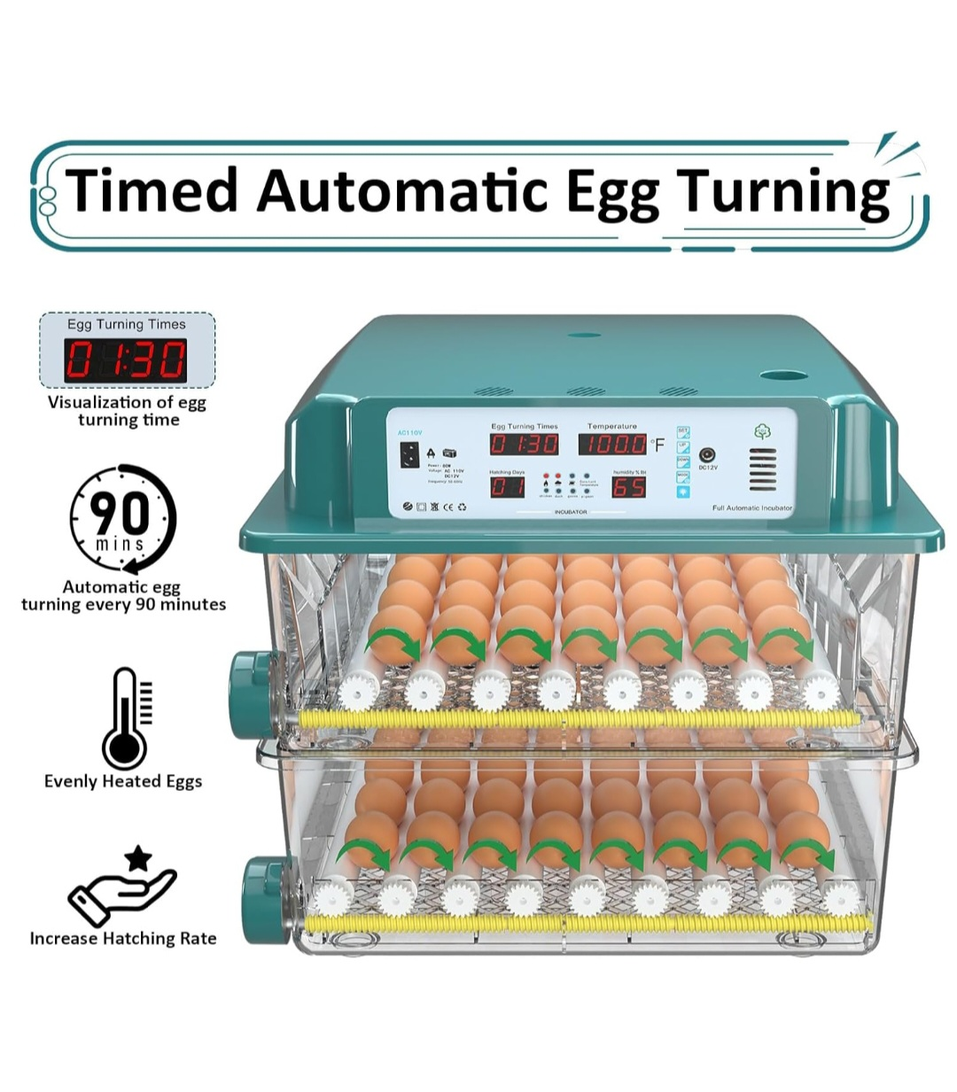 Timely Egg Lighting Incubator - photo 5