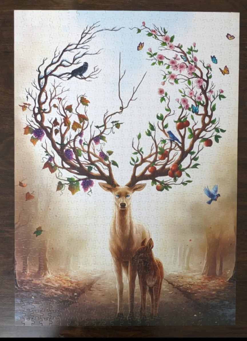 1000 pieces Puzzle image indicator(2)