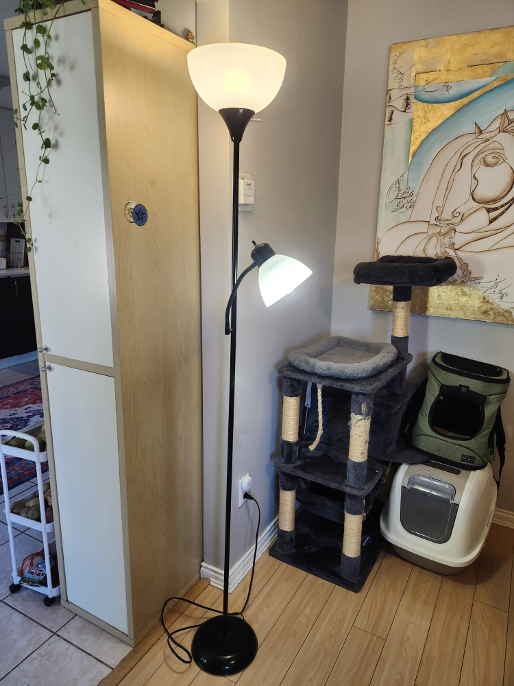Floor Lamp with Reading Light