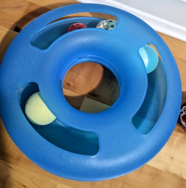 pet ball track toy 🇨🇦 thumbnail