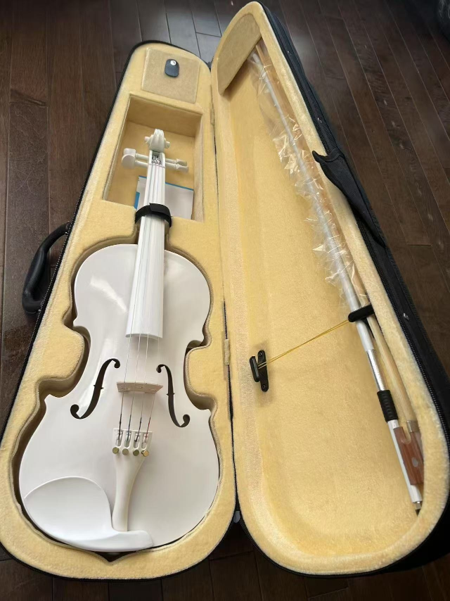 White Violin with Bow and Case