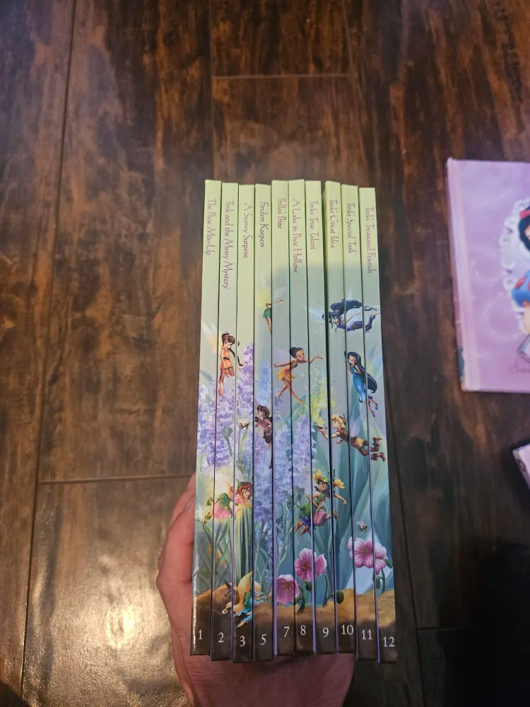 Disney Fairies and Princess StoryBooks(Please read description) image indicator(3)