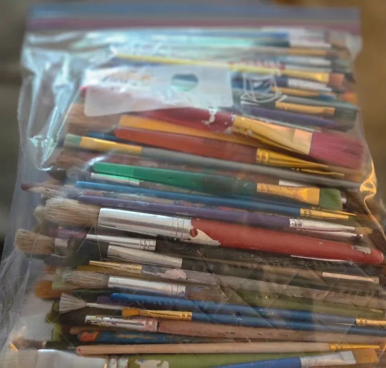 Bag of Used Paintbrushes thumbnail