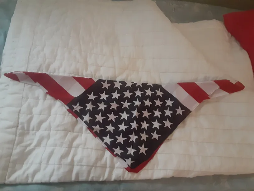 American Flag Bandana for Dog thumbnail
