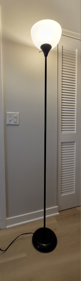 Black Floor Lamp