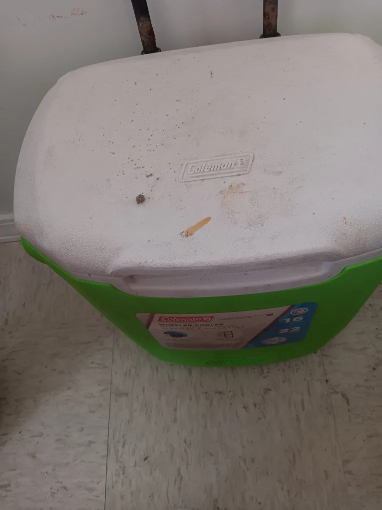Coleman 19-22 Quart Cooler thumbnail