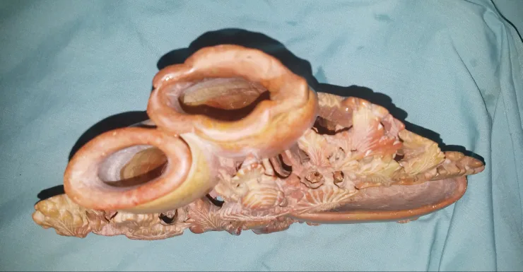 Vintage Antique Hand Carved Chinese Soapstone Planter image indicator(4)