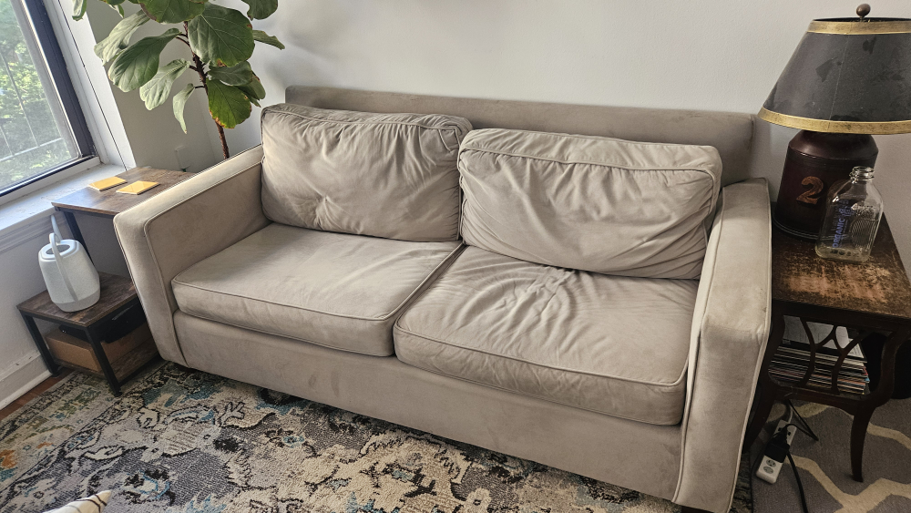 Free west elm sofa