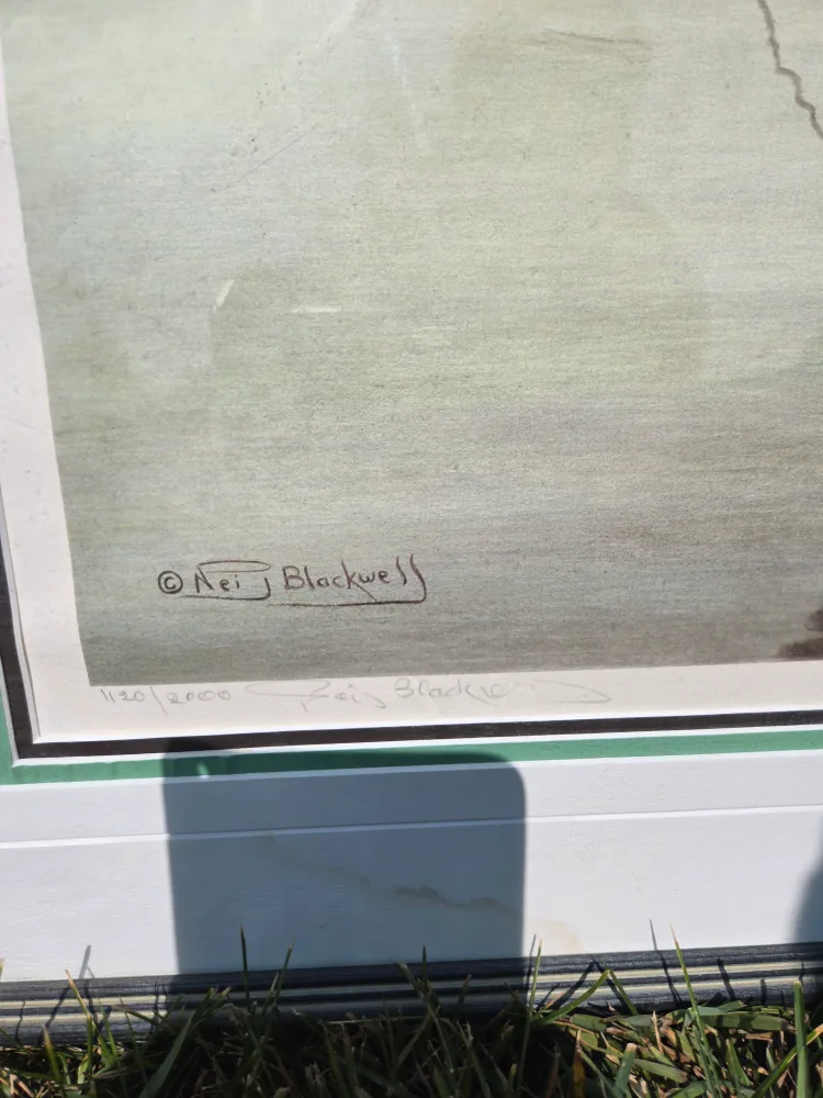 Framed Art Print by Nei Blackwell image indicator(2)