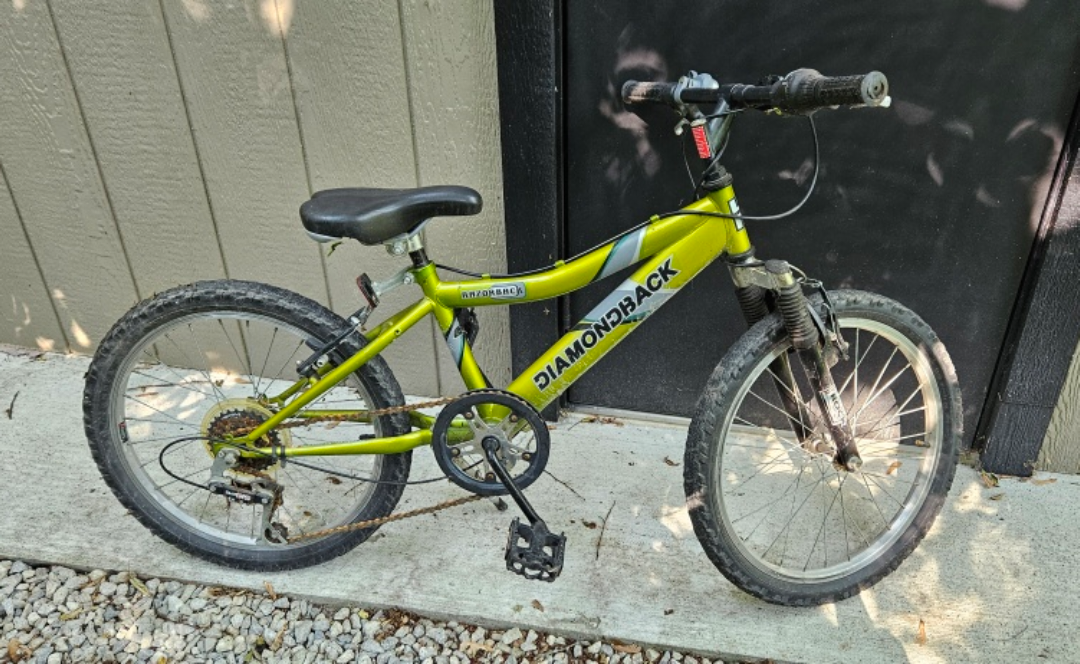 Diamondback Razorback Kids' 20" Bike - photo 3