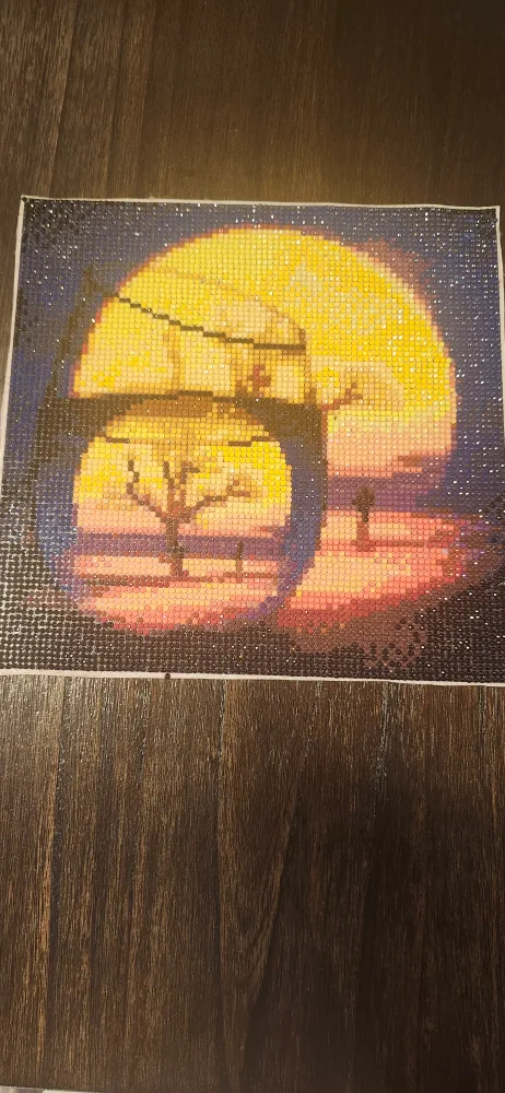 DIY 5D Diamond Painting 30x40cm image indicator(6)