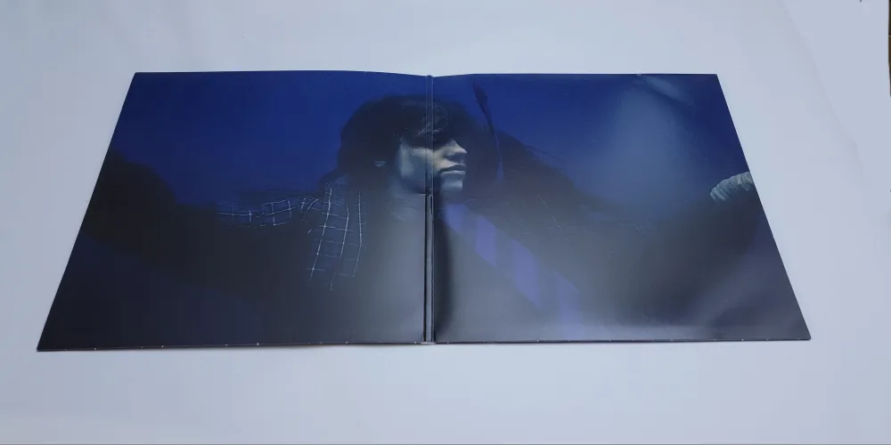 Billie Eilish – Hit Me Hard And Soft Vinyl LP | Gatefold Edition image indicator(6)