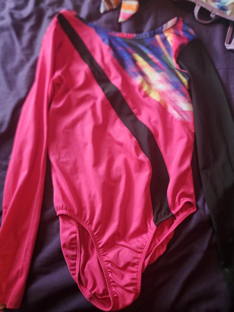 Danskin Now Leotard Size L (10-12) - photo 3