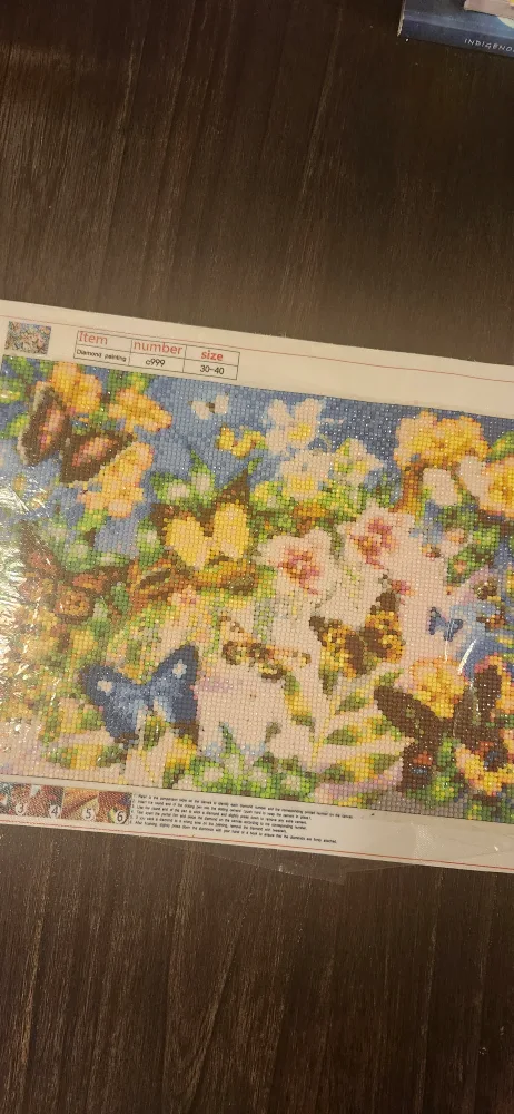 DIY 5D Diamond Painting 30x40cm image indicator(8)