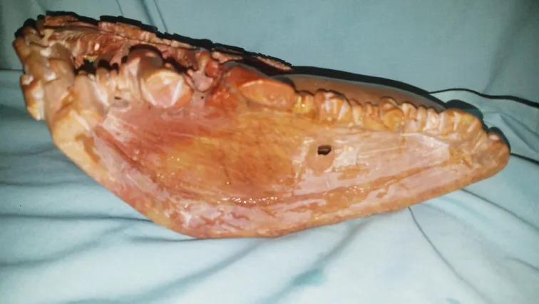 Vintage Antique Hand Carved Chinese Soapstone Planter image indicator(10)