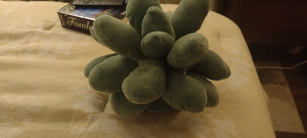 Succulent Plush Pillow - Green thumbnail