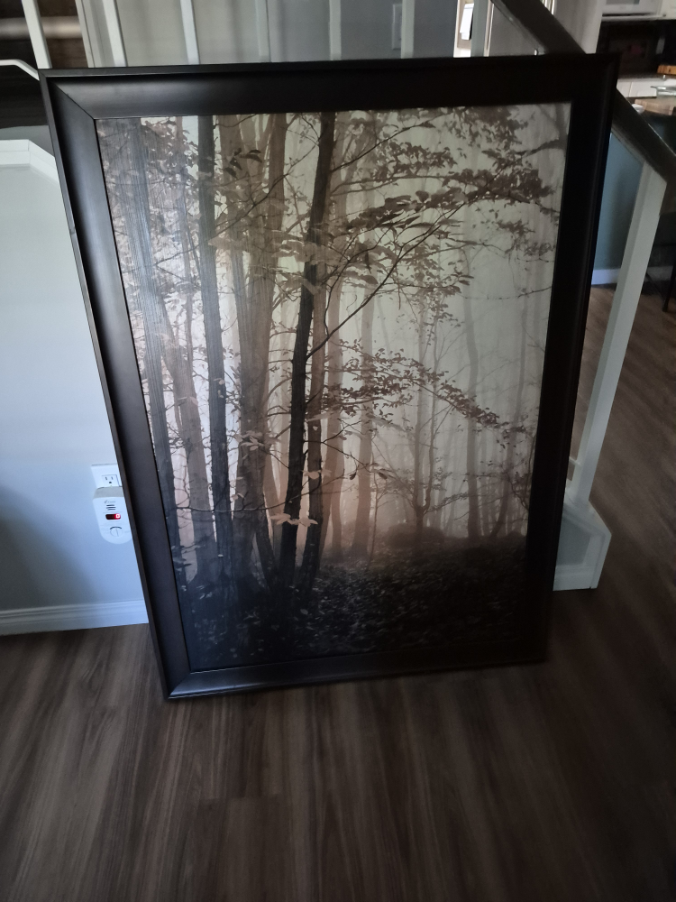 Birch tree picture - photo 2